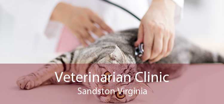 Veterinarian Clinic Sandston Virginia