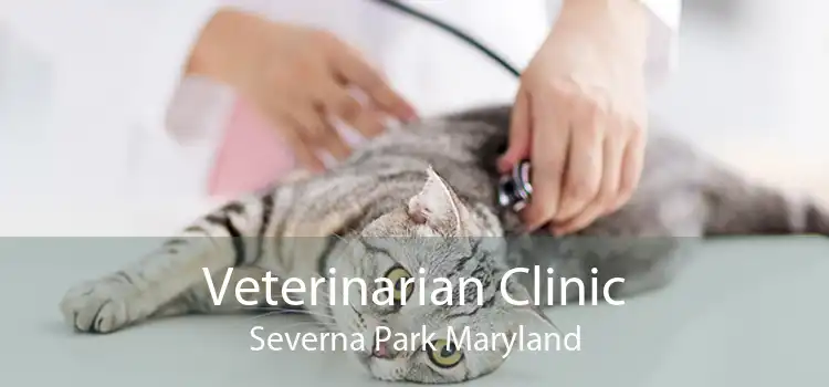 Veterinarian Clinic Severna Park Maryland