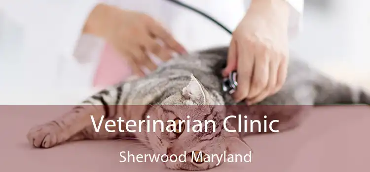 Veterinarian Clinic Sherwood Maryland