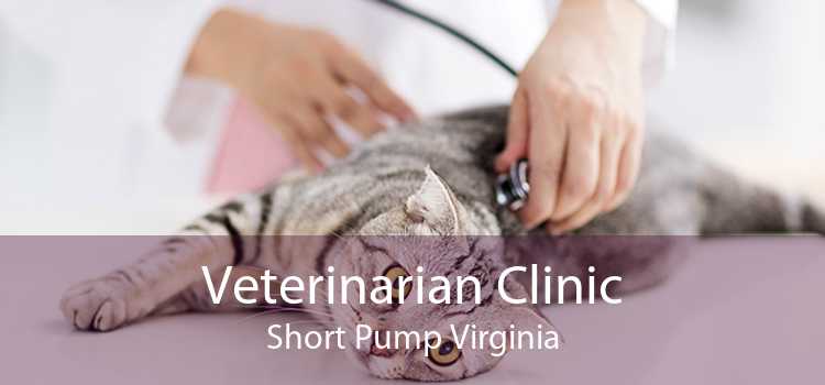 Veterinarian Clinic Short Pump Virginia