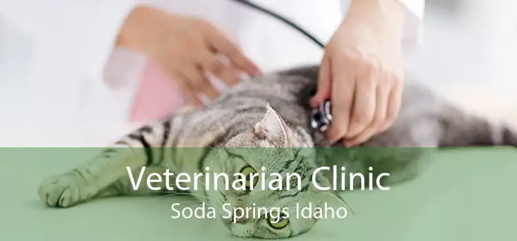 Veterinarian Clinic Soda Springs Idaho