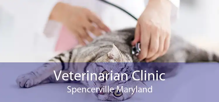 Veterinarian Clinic Spencerville Maryland