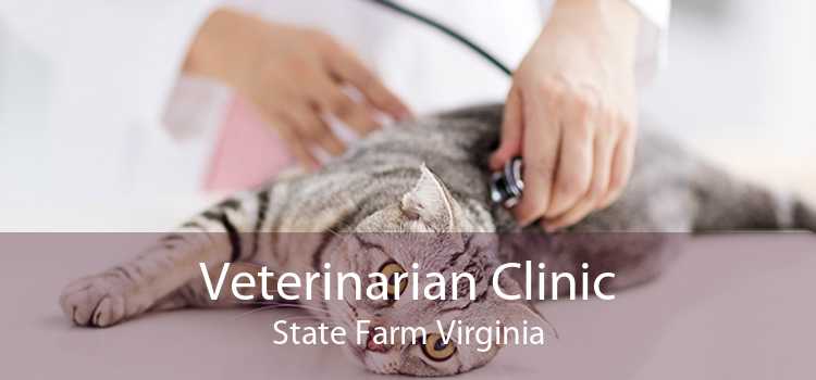 Veterinarian Clinic State Farm Virginia