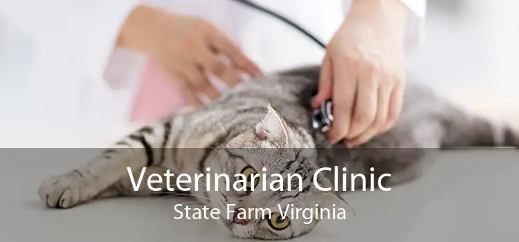 Veterinarian Clinic State Farm Virginia