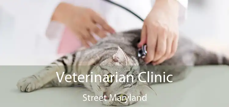Veterinarian Clinic Street Maryland