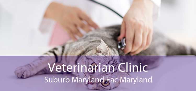 Veterinarian Clinic Suburb Maryland Fac Maryland