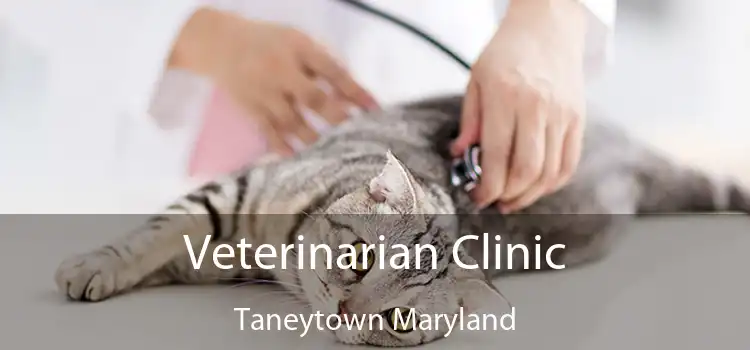 Veterinarian Clinic Taneytown Maryland