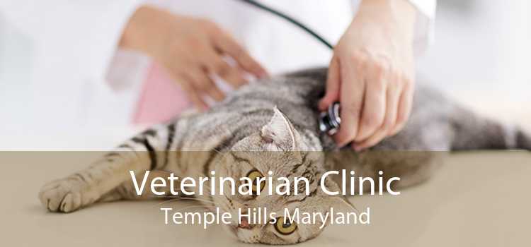 Veterinarian Clinic Temple Hills Maryland