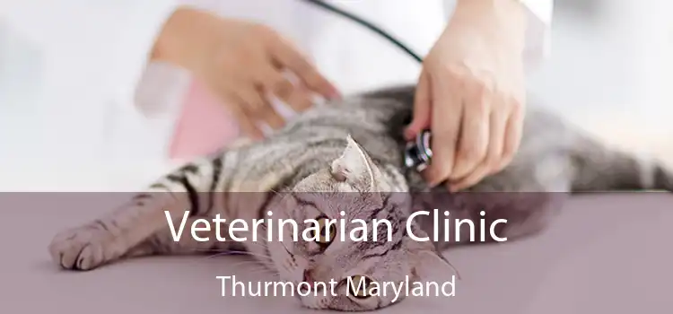 Veterinarian Clinic Thurmont Maryland