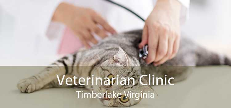 Veterinarian Clinic Timberlake Virginia