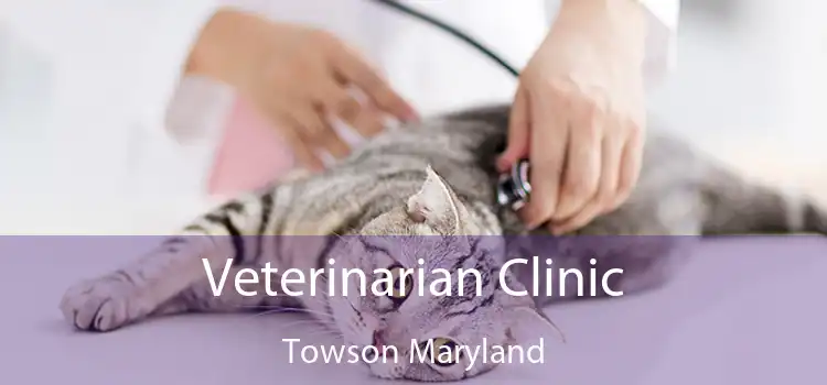 Veterinarian Clinic Towson Maryland