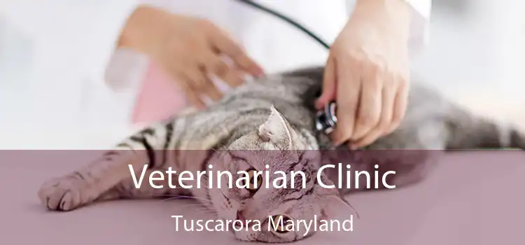 Veterinarian Clinic Tuscarora Maryland