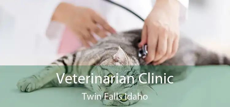 Veterinarian Clinic Twin Falls Idaho