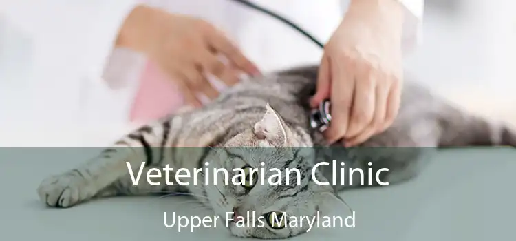 Veterinarian Clinic Upper Falls Maryland