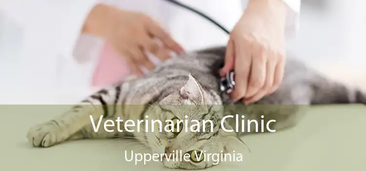 Veterinarian Clinic Upperville Virginia