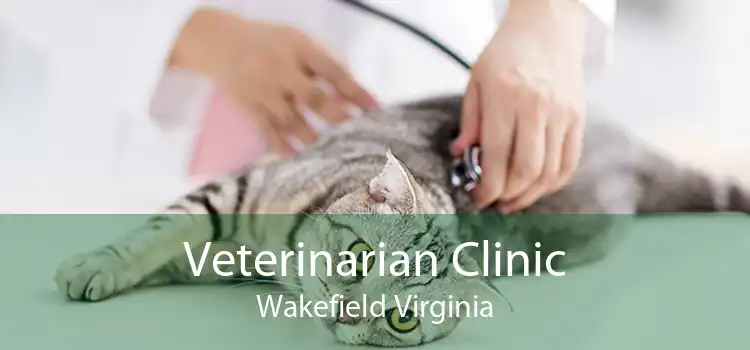 Veterinarian Clinic Wakefield Virginia