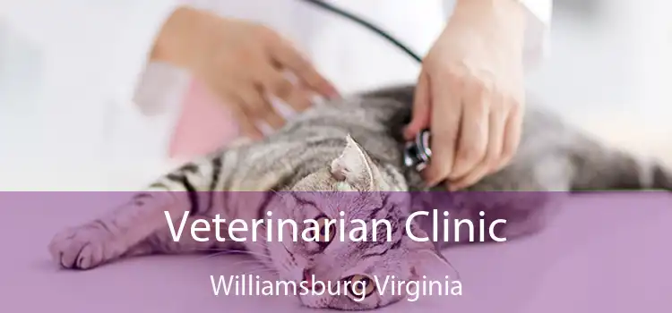 Veterinarian Clinic Williamsburg Virginia