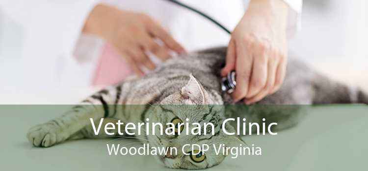 Veterinarian Clinic Woodlawn CDP Virginia